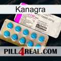 Kanagra new07